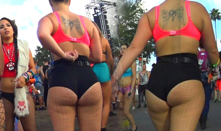 EDC Thick Pawg